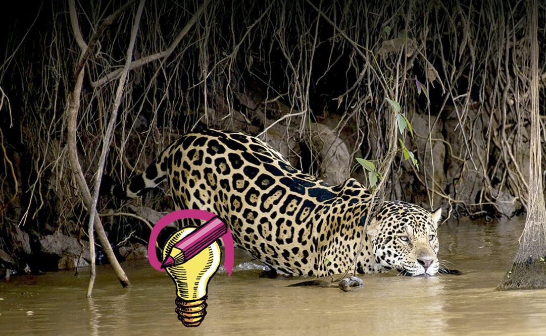 ARCHIVO. EL UNIVERSAL