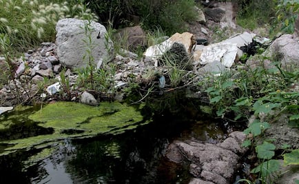 Buscan decretar como áreas naturales protegidas a barrancas en Ecatepec 