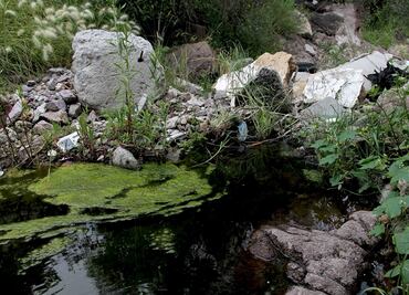 Buscan decretar como áreas naturales protegidas a barrancas en Ecatepec