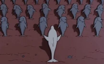 Taylor Swift demuestra que los milagros existen, un gorila suelto y una orca que busca venganza, en los memes de la semana