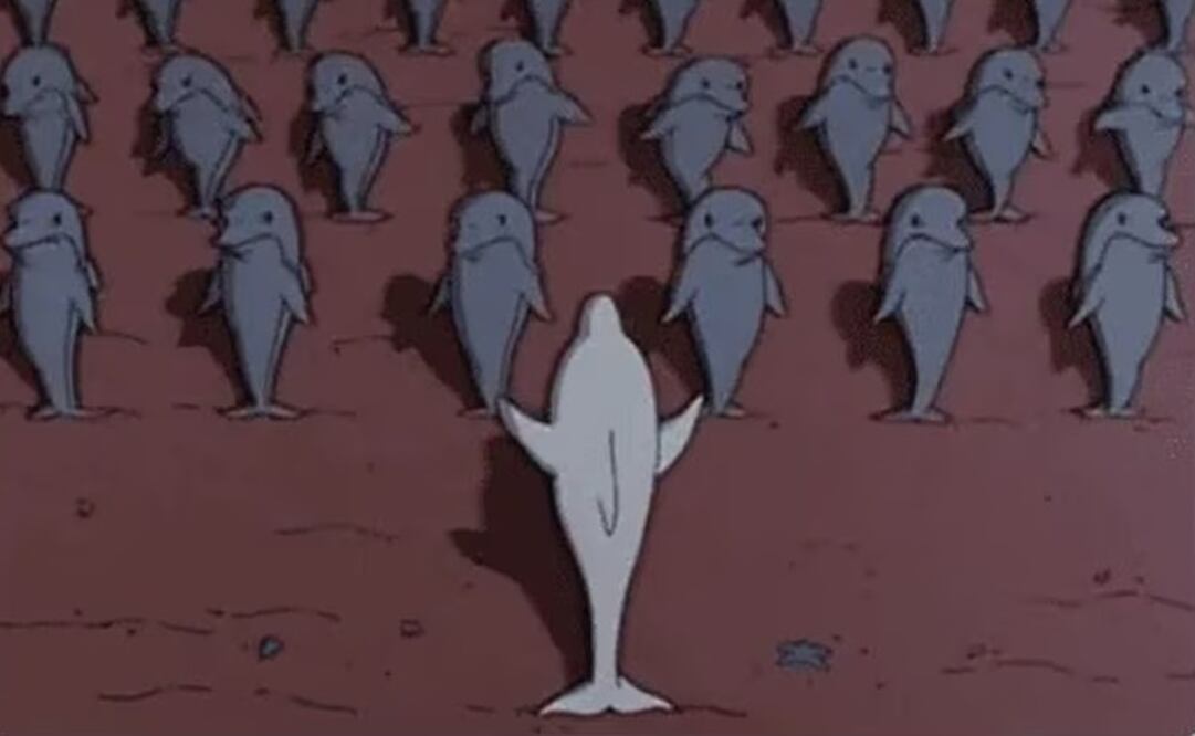 Captura vía Twitter.