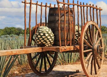 Por una industria 100% sustentable