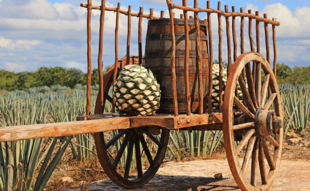 Por una industria 100% sustentable