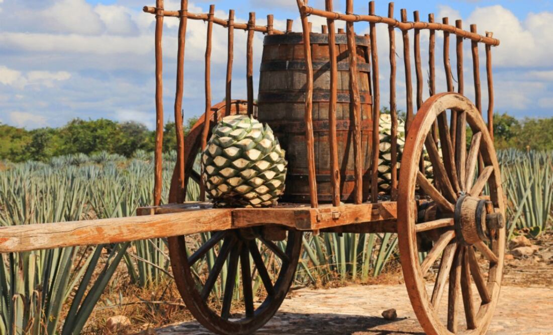 Por una industria 100% sustentable