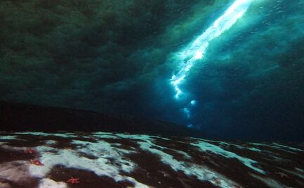 Metano escapa del subsuelo de la Antártida hacia el océano