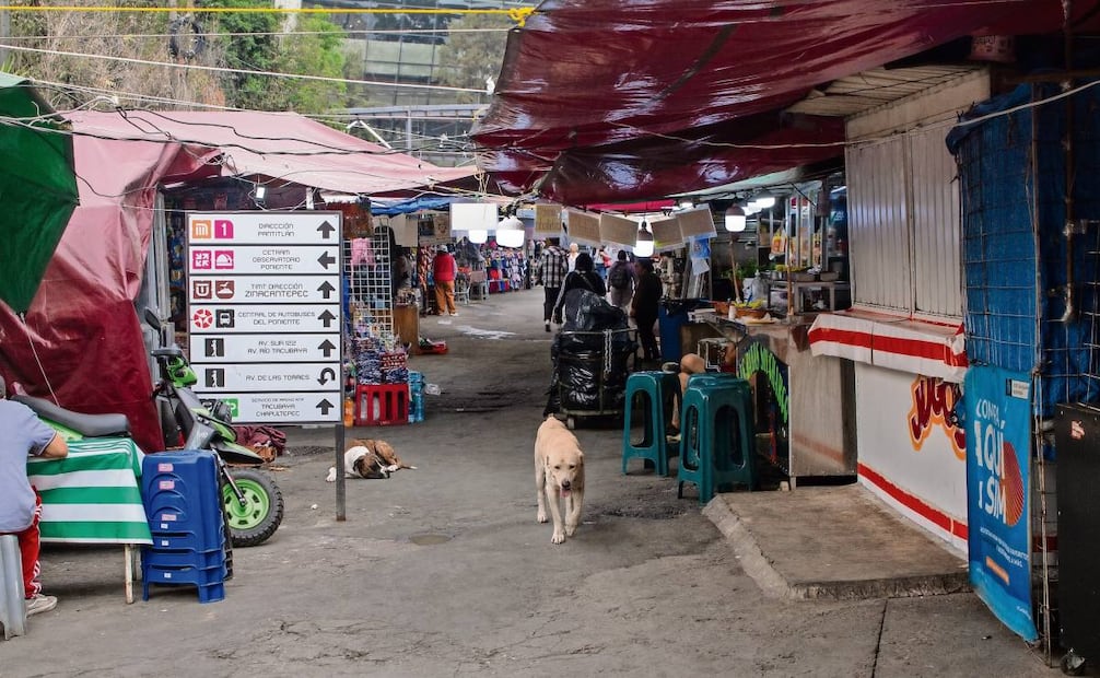 Ambulantes dicen que las ventas están en la zona de paso del Metro y de la central camionera. Foto: Santiago Reyes / EL UNIVERSAL
