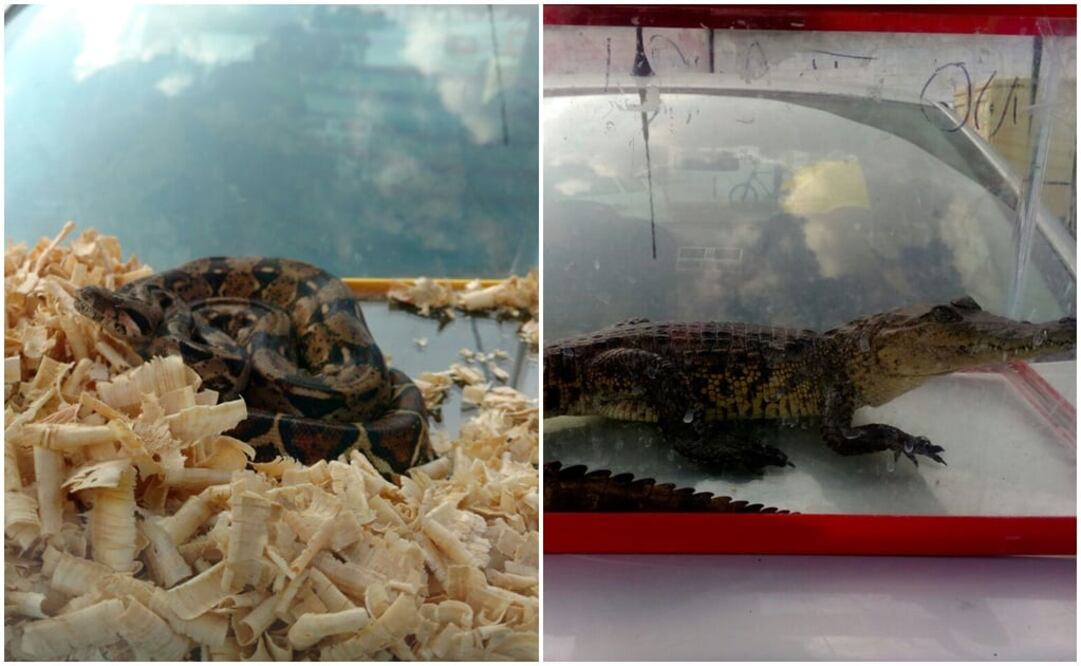 Foto: Juan Manuel Barrera / EL UNIVERSAL