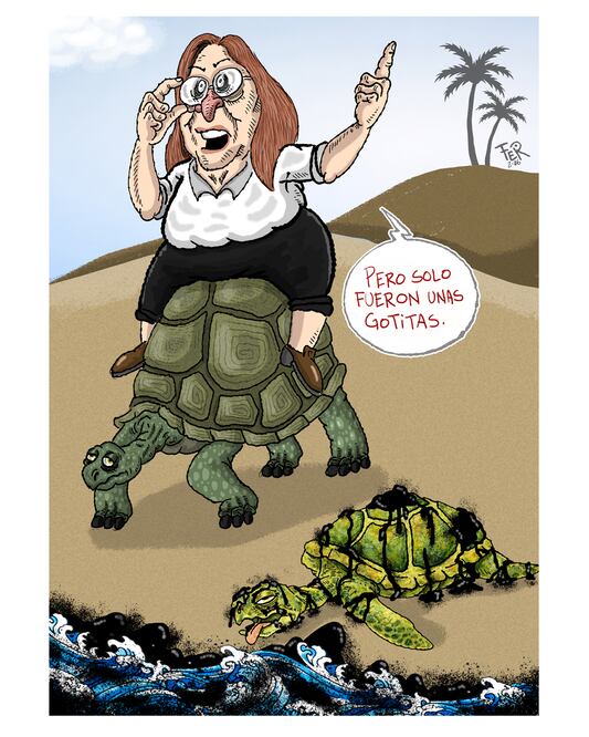 Cartón de FER