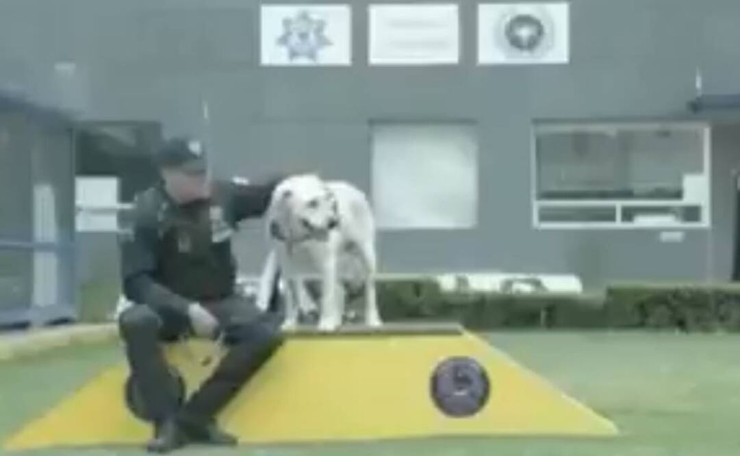 Policía Federal se despide de agente canino René