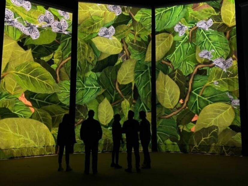 Esto cuestan los boletos para la exposición inmersiva de Frida Kahlo