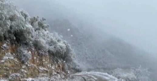 Se prevé caída de nieve en estados del norte del país por novena tormenta invernal: Conagua
