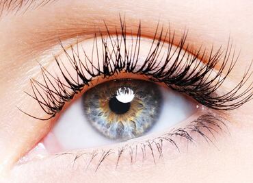 Cuál es el mejor aceite para tener pestañas más largas