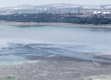 Alerta en Hidalgo: la presa Requena solo tiene 5.2% de almacenamiento de agua; aves y peces han muerto
