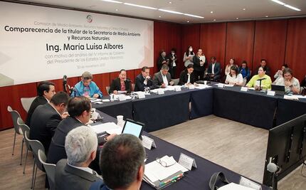 Tren Maya, con los estudios de impacto ambiental aprobados por Semarnat: Albores