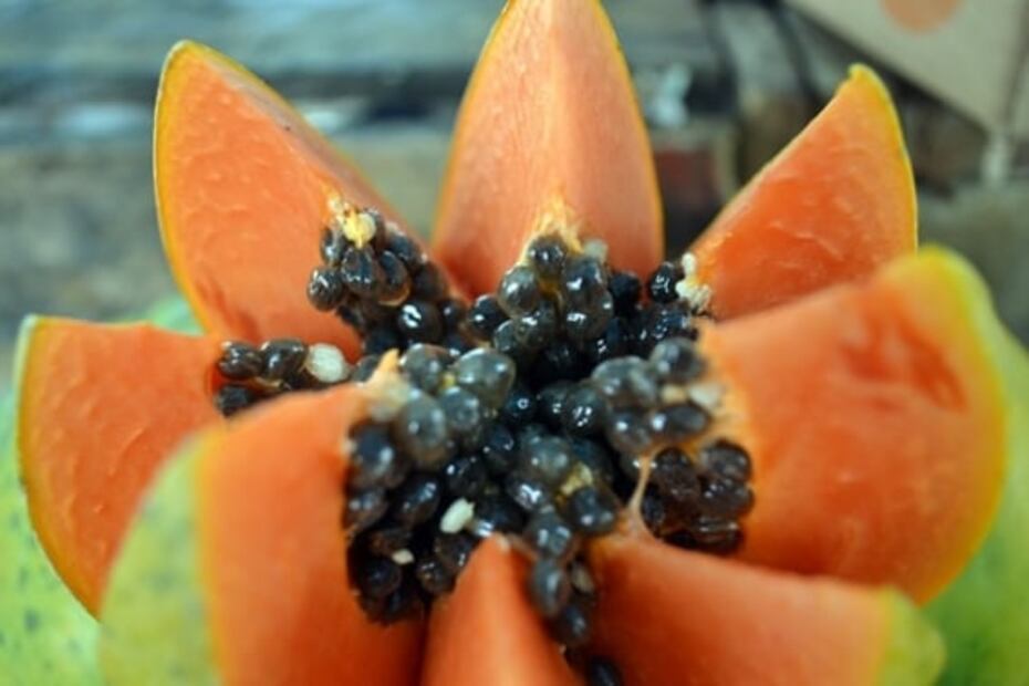 Qué aporta una rebanada de papaya en el desayuno