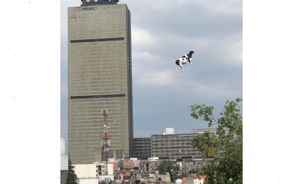 Estos son los memes que arrastraron los fuertes vientos en la CDMX