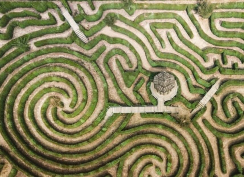 Alpinia, el parque donde se encuentra el laberinto más grande de México 