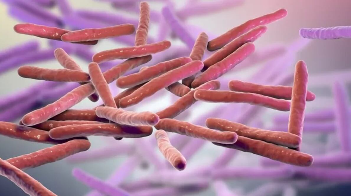 Foto: Getty Images, vía BBC 