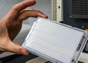 Investigadores de la UNAM rediseñan pruebas Covid a bajo costo y con resultados más rápidos