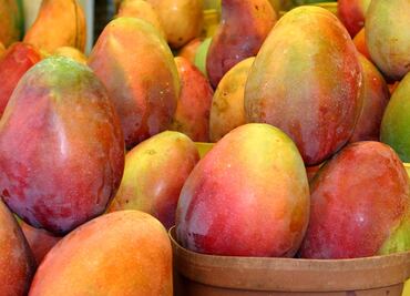 Almidón presente en mangos puede prevenir cáncer de colon: IPN
