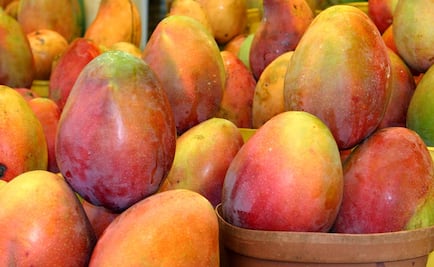 Almidón presente en mangos puede prevenir cáncer de colon: IPN