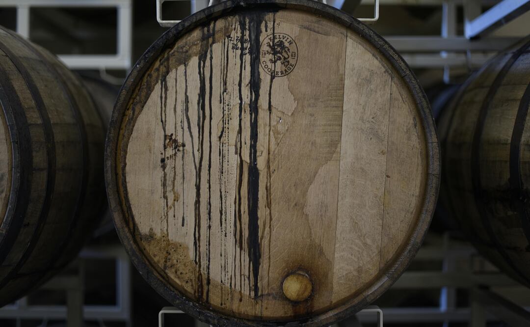 ¿Qué provoca la reducción y la oxidación en un vino? Foto: Pexels