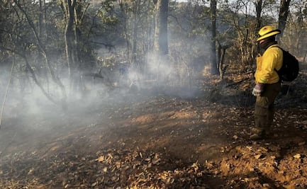 Incendio forestal afecta áreas naturales protegidas en Guanajuato; reportan daños de 550 hectáreas de Reserva de Biósfera