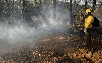 Incendio forestal afecta áreas naturales protegidas en Guanajuato; reportan daños de 550 hectáreas de Reserva de Biósfera