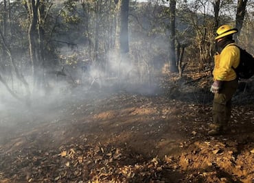 Incendio forestal afecta áreas naturales protegidas en Guanajuato; reportan daños de 550 hectáreas de Reserva de Biósfera