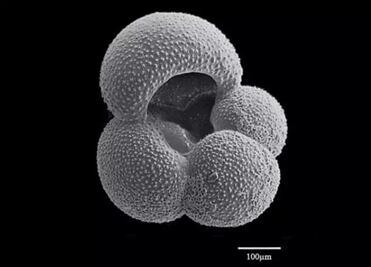 La historia del CO2 más completa encierra serios avisos climáticos