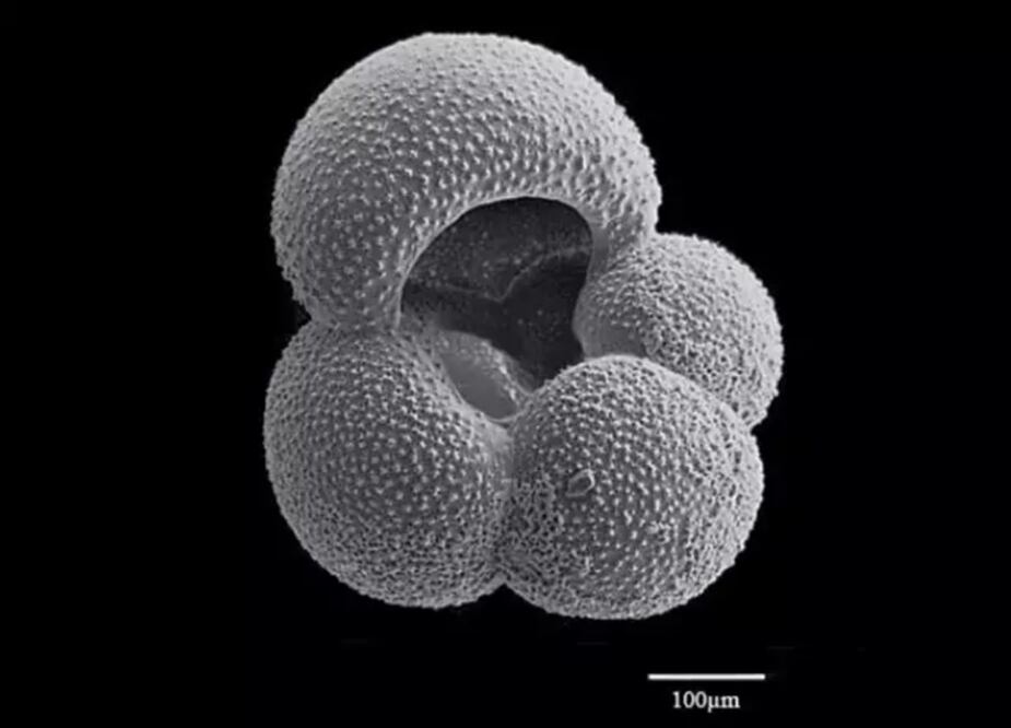 Partícula de dióxido de carbono. Foto: Europa Press