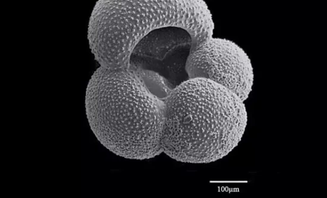 Partícula de dióxido de carbono. Foto: Europa Press
