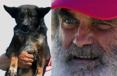 ¿Qué pasará con Bella, la perrita que acompañó a Shaddock en naufragio? Esto dijo el australiano