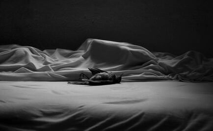 Luz Portátil, diálogo entre la literatura y la fotografía