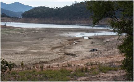 Preocupa "sequía total" y falta de agua en estados por afectación a la siembra 