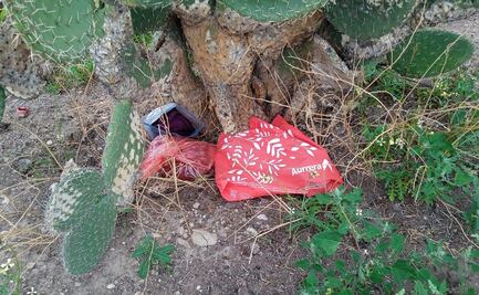 Abandonan a bebé recién nacida debajo de una nopalera en Epazoyucan, Hidalgo