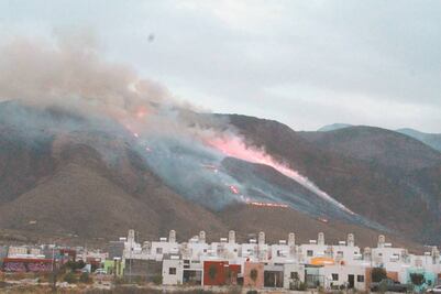 Nacen nuevos incendios en zonas boscosas del norte