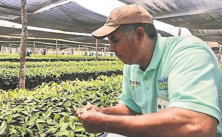 Sembrando Vida, plan sin control: PAN y PRD