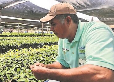 Sembrando Vida, plan sin control: PAN y PRD