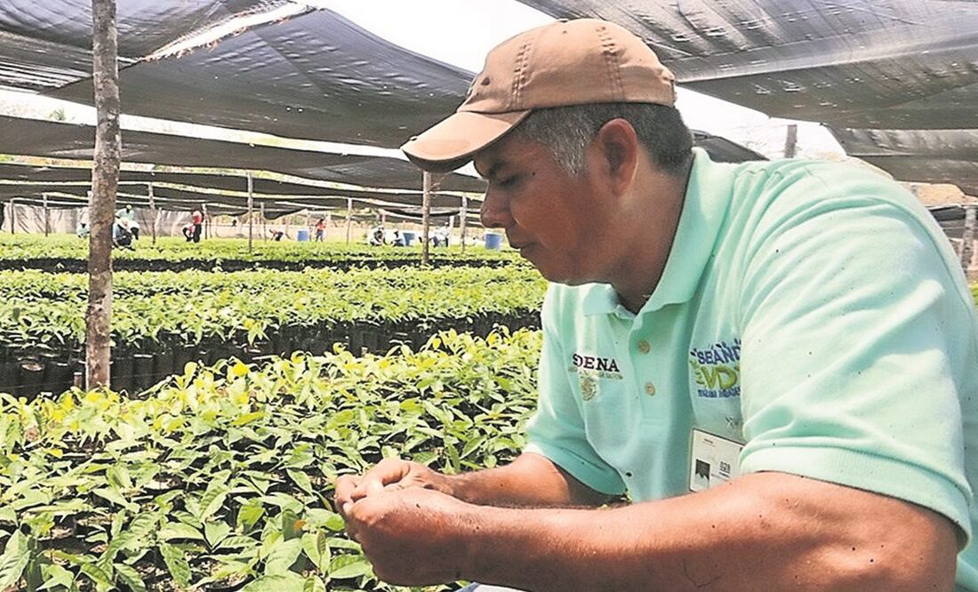 El programa “siembra corrupción”, considera la oposición. Foto: Archivo. El Universal