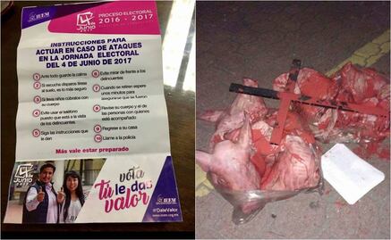 Abandonan restos de cerdos e instructivos apócrifos por elecciones en Edomex