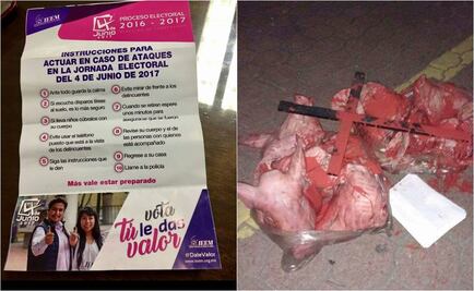 Abandonan restos de cerdos e instructivos apócrifos por elecciones en Edomex