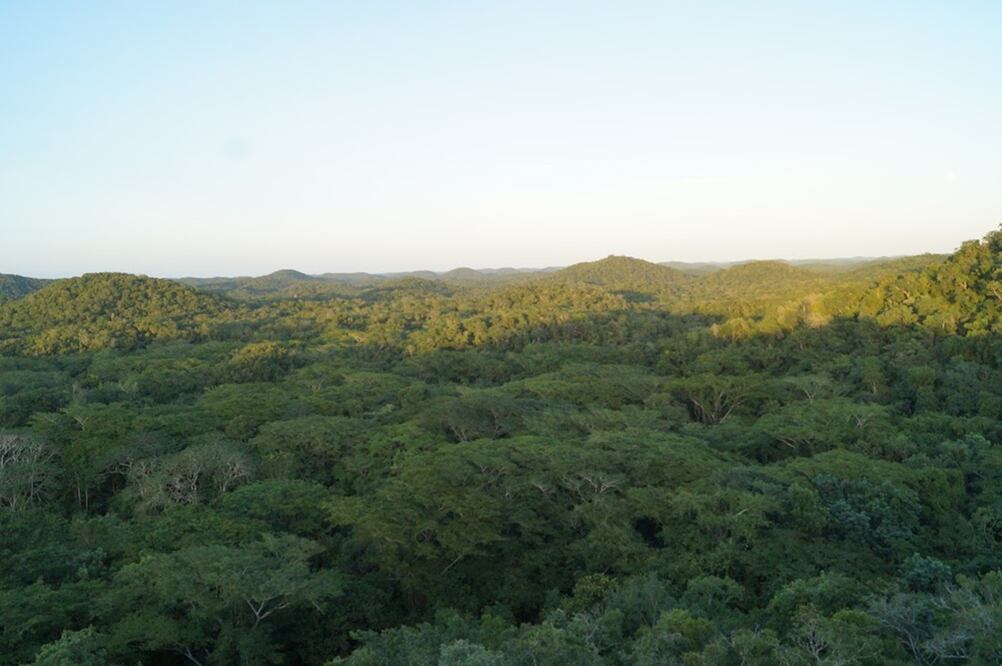Reserva Bicultural. Foto: Cortesía