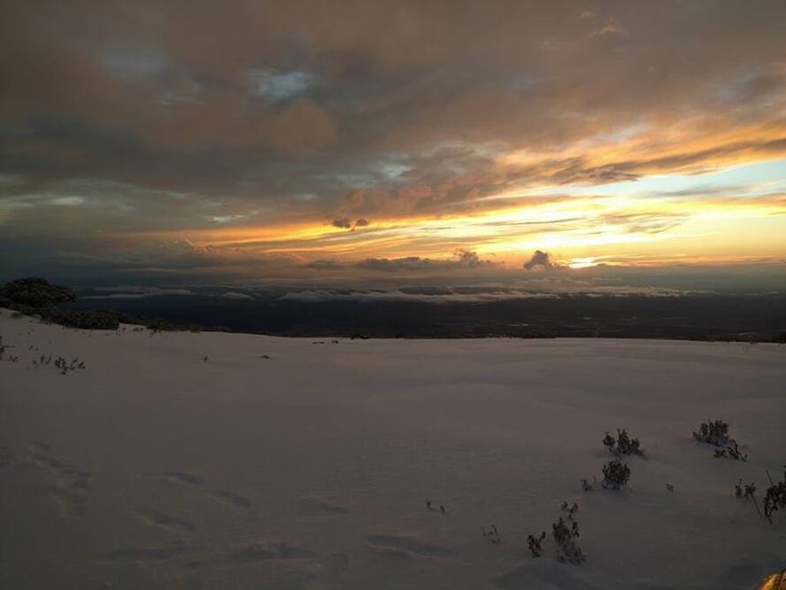Foto: Cortesía Protección Civil