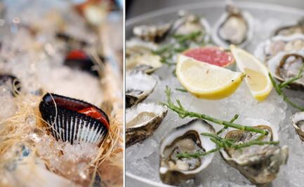 Mojama: el nuevo oyster bar con toque libanés