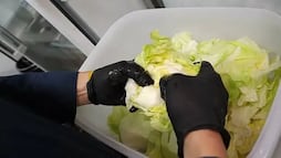 Taco Bell retira lechuga de México de sus restaurantes en EU; brote de "diarrea explosiva" está relacionado con la verdura, según FDA