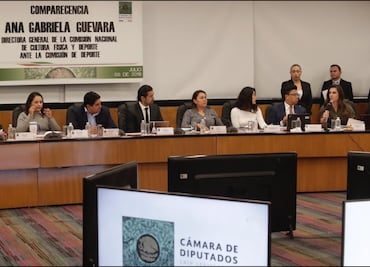 Ven con buenos ojos la comparecencia de Conade