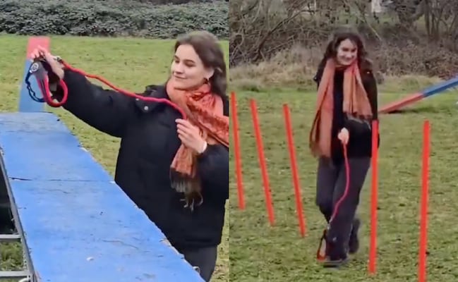 ¿Qué es el “Hobby Dogging”, nueva tendencia viral que está causando revuelo en redes?; aquí te lo decimos