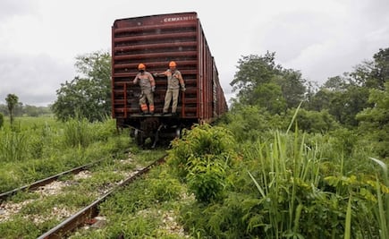 Posponen otra vez audiencia para definir si el gobierno violó amparo contra el Tren Maya