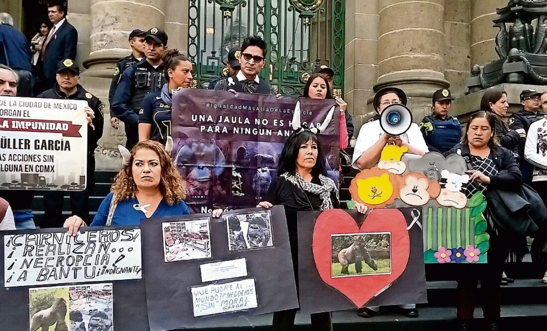 Decenas de personas se manifestaron frente a la Asamblea Legislativa para exigir que se aclare la reciente muerte del gorila Bantú (ADOLFO VLADIMIR. CUARTOSCURO)